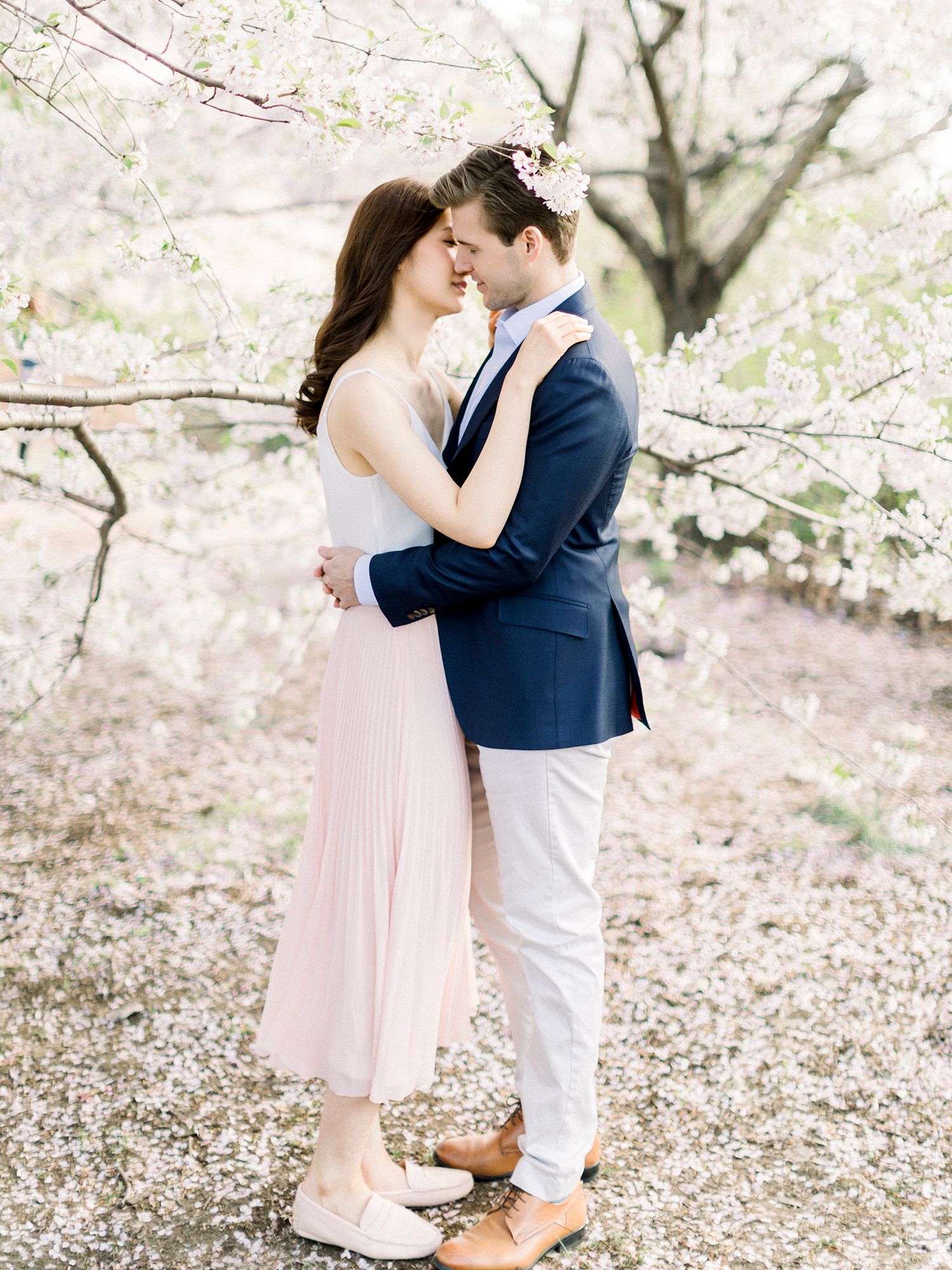 A tender embrace under blooming cherry blossoms in spring.