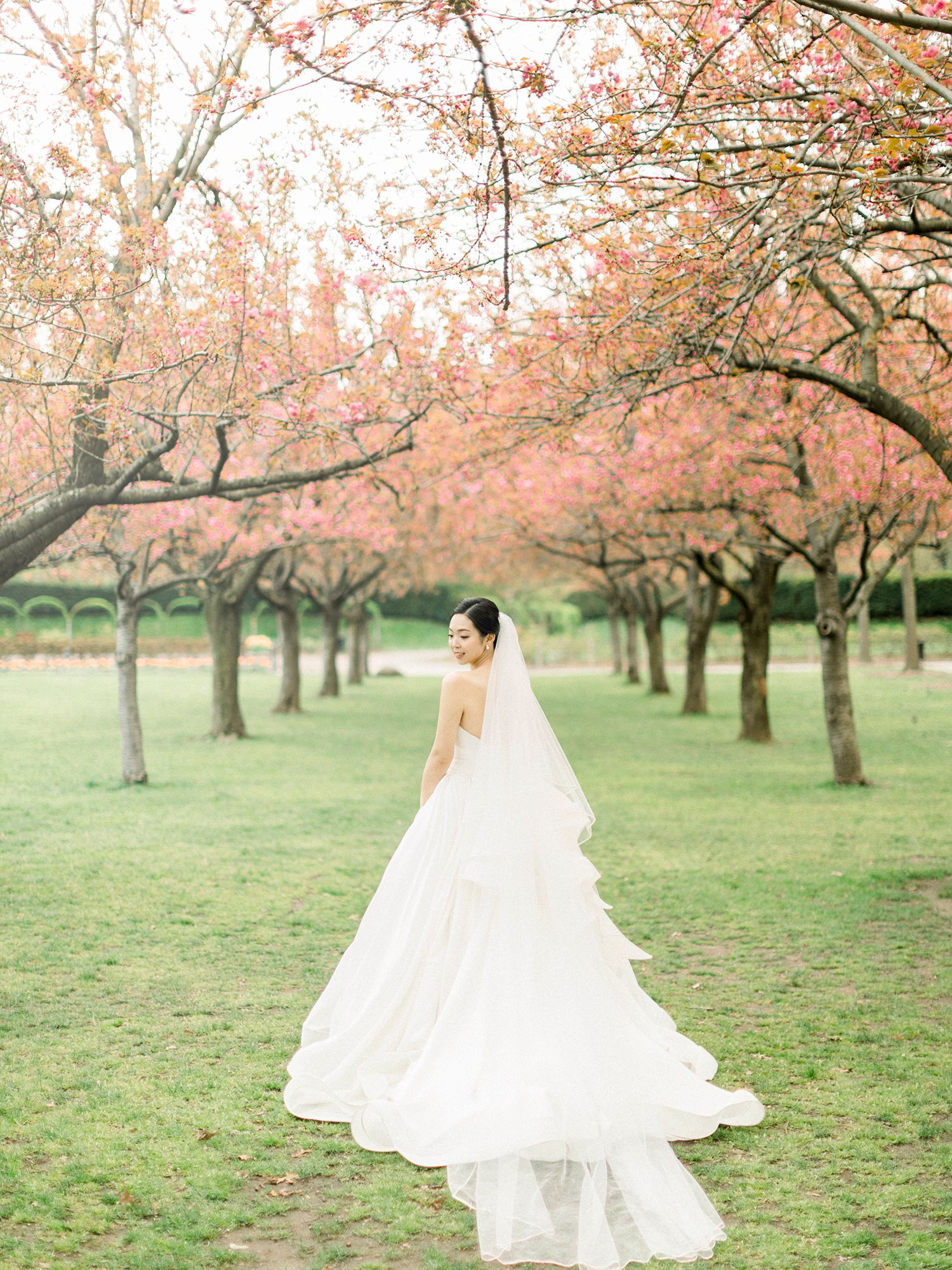 Ethereal bridal photos taken in a serene cherry blossom grove with flowing white gown.