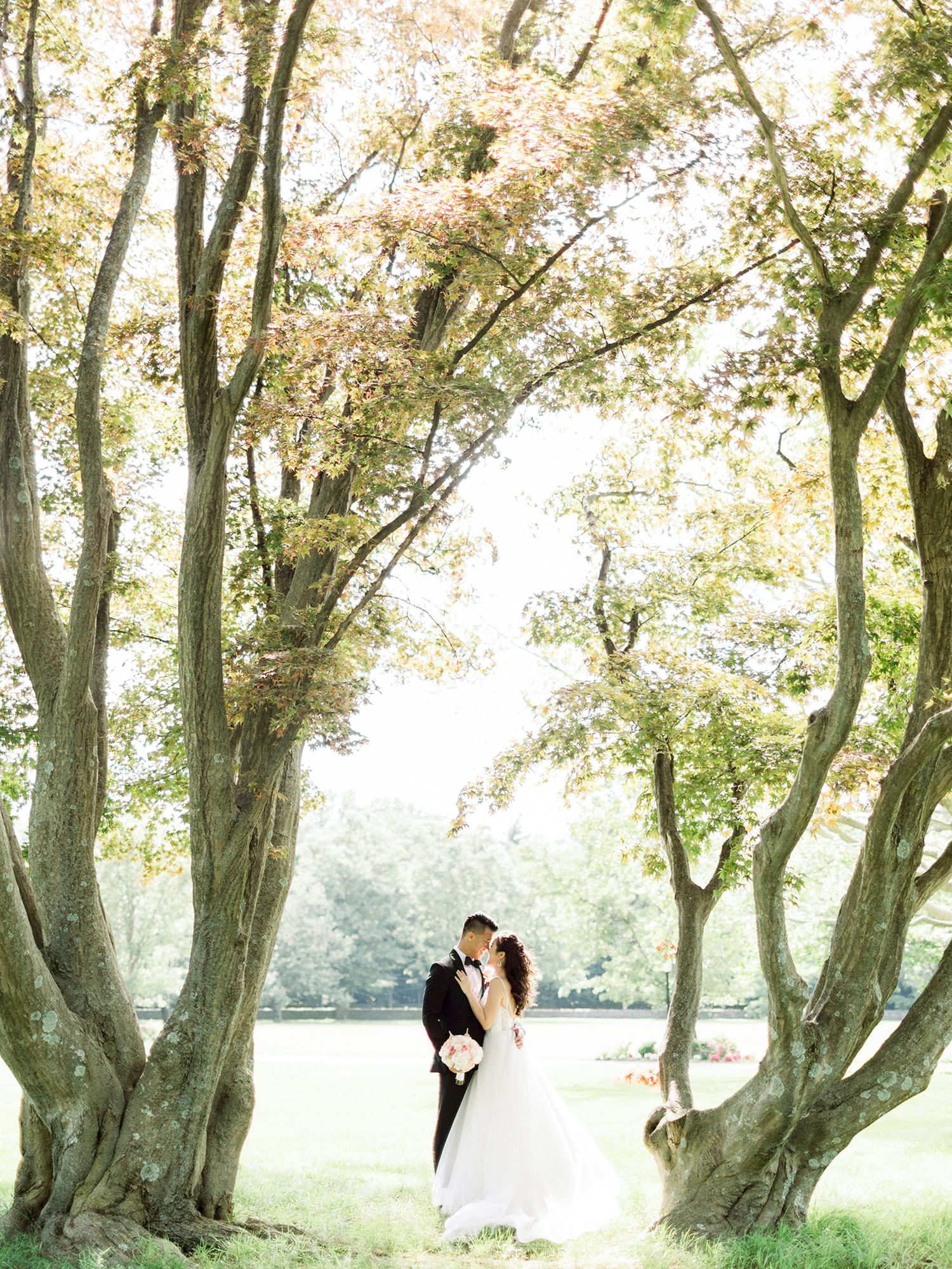 A romantic wedding portrait beneath tall autumn trees in a dreamy outdoor setting.