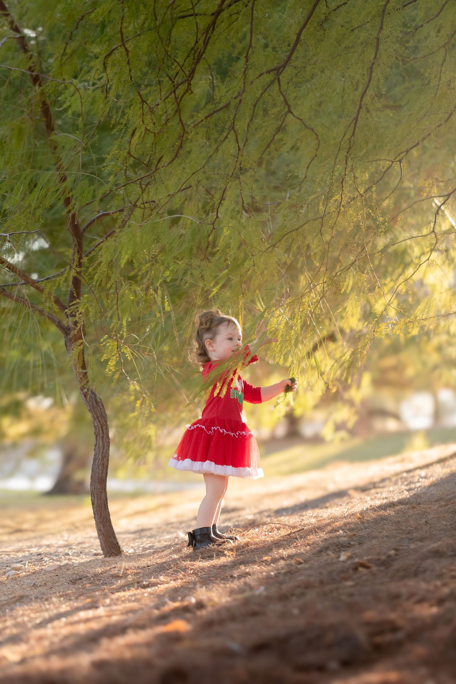 Young girl in red dress reaching for tree branches in a sunlit park.