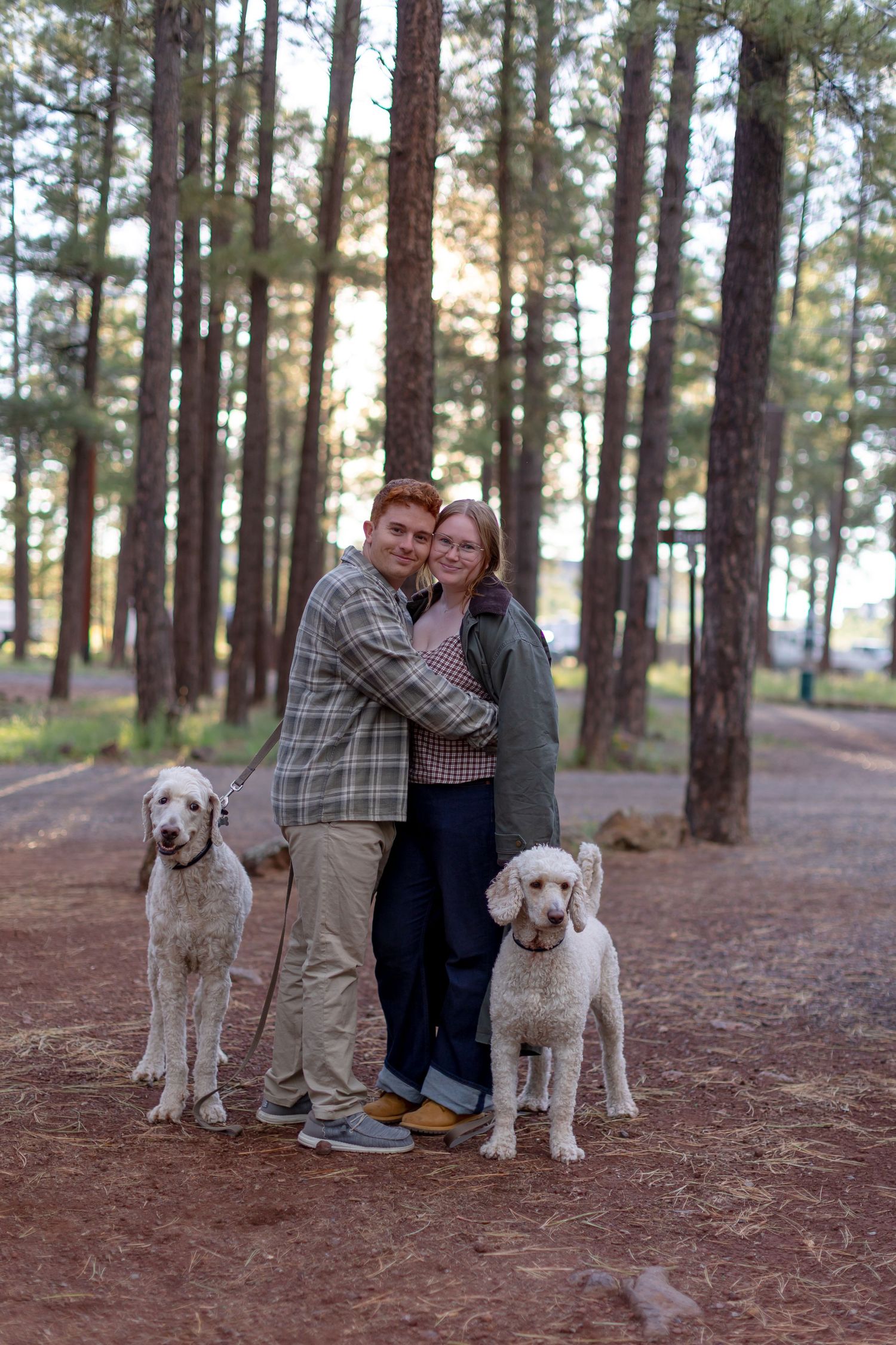A couple embraces in a pine forest with two white standard poodles standing beside them on a red dirt path.