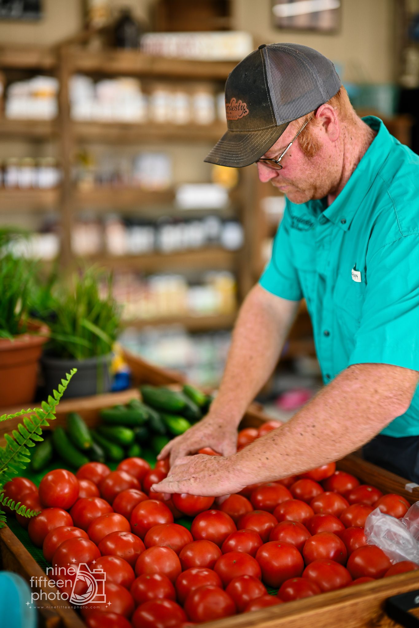 Man in teal shirt arranging fresh red tomatoes at Hardesty Farms produce market in Brandenburg Kentucky.