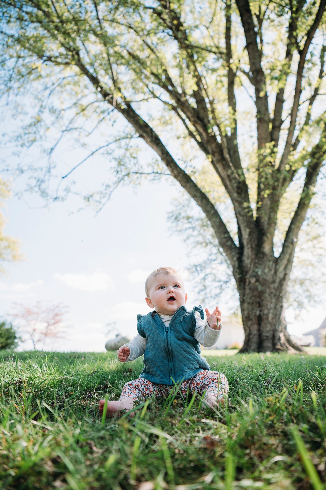 Baby portrait under a meaningful family tree in Battletown KY during a farmhouse photo session by ninefifteenphoto