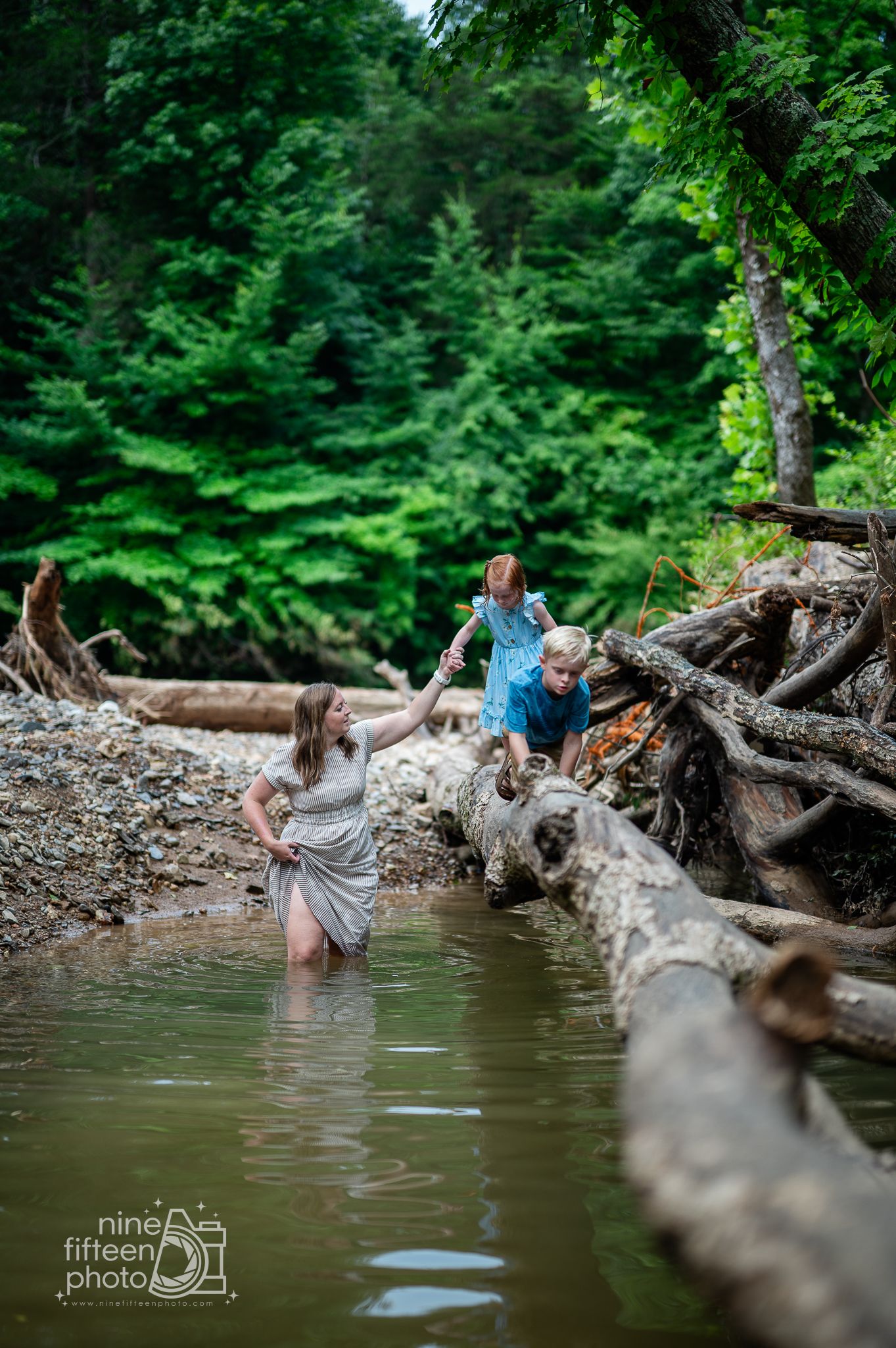 Family wading through a shallow creek near fallen logs with lush green forest backdrop during an outdoor photo session.