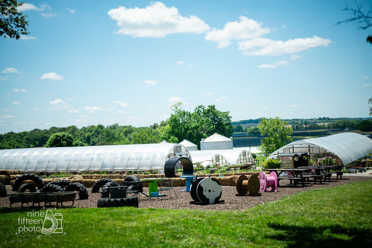 Aerial view of Hardesty Farms & Greenhouses surrounded by beautiful Kentucky farmland.
