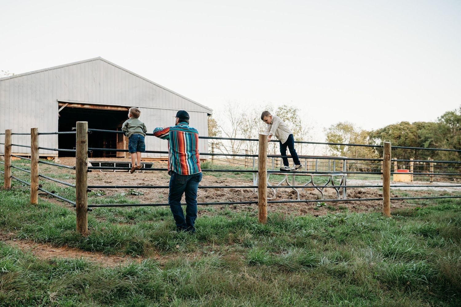 Family walking along fence line at farm in Guston Kentucky with barn and golden light