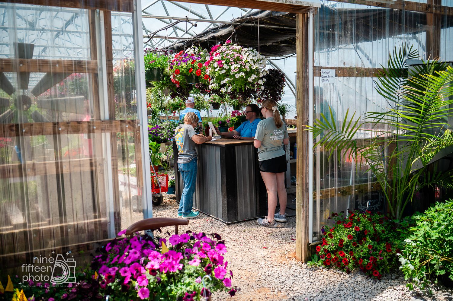 Customers browsing colorful flowers and plants outside greenhouse tents on a sunny Kentucky afternoon.
