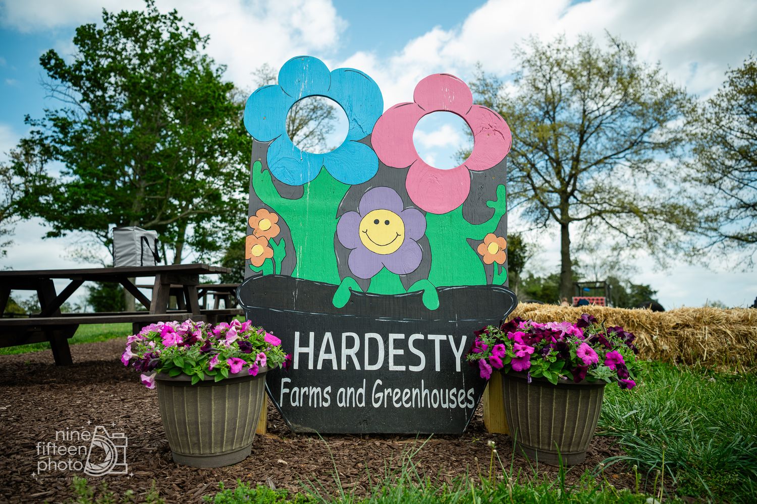 Colorful Hardesty Farms and Greenhouses signs surrounded by blooming flower pots outside the Kentucky greenhouse.