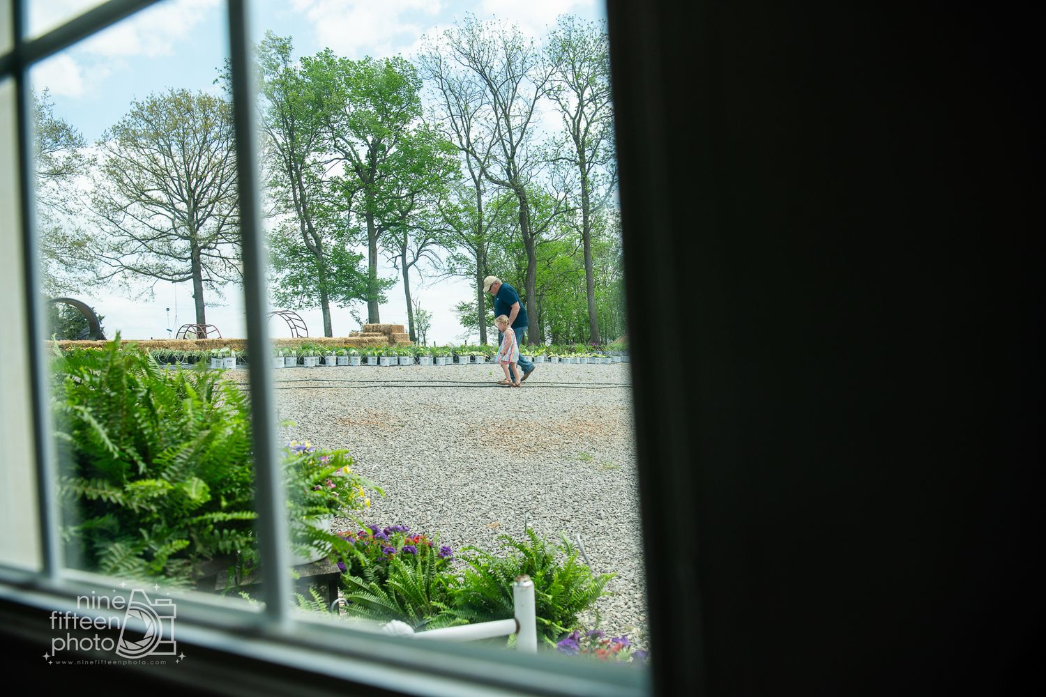 Family holding hands through farmhouse window on peaceful rural property at Hardesty Farms in Kentucky.