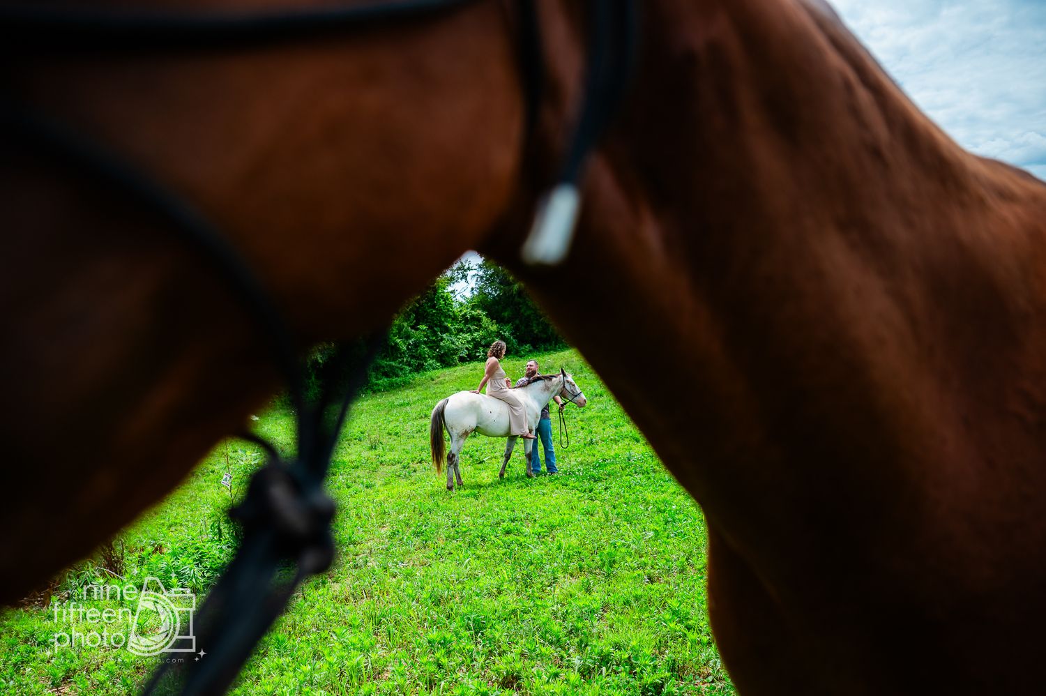 A person stands with a white horse in a green field, framed between two brown horses in the foreground.