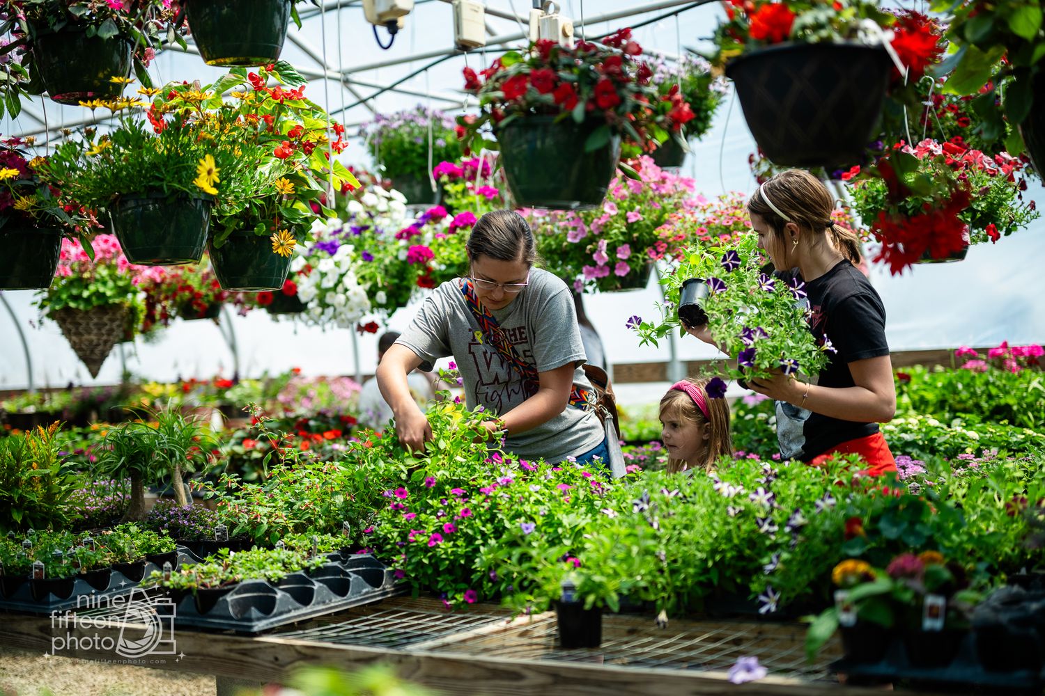 Family shopping for flowers and plants inside the greenhouse at Hardesty Farms & Greenhouses in Brandenburg, KY.