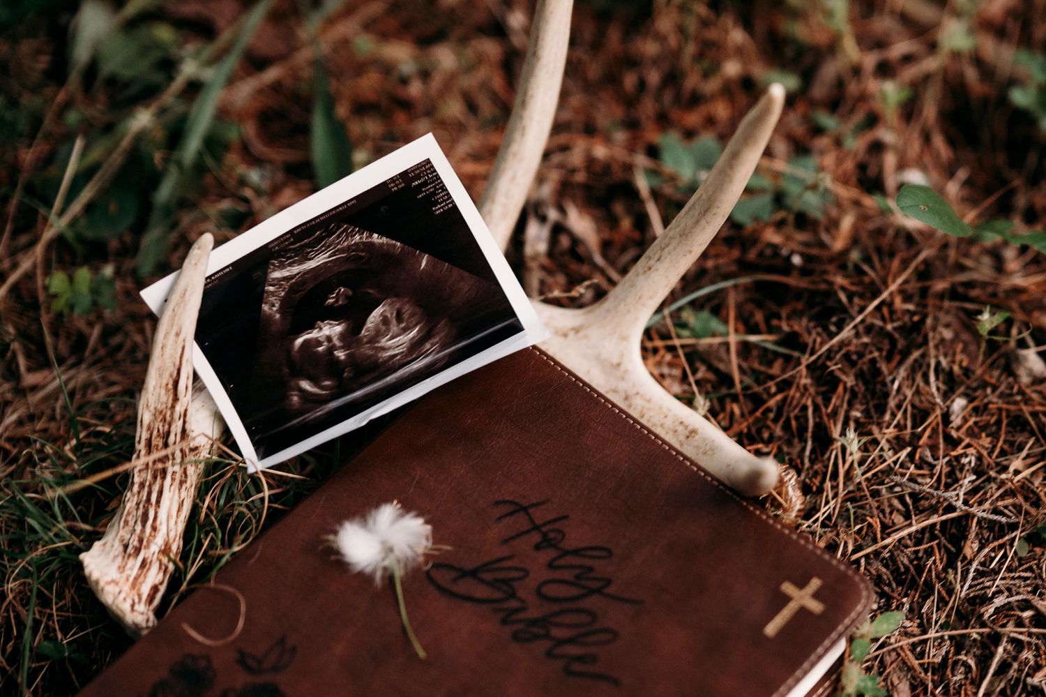 Ultrasound photo displayed on blanket during maternity session Otter Creek KY