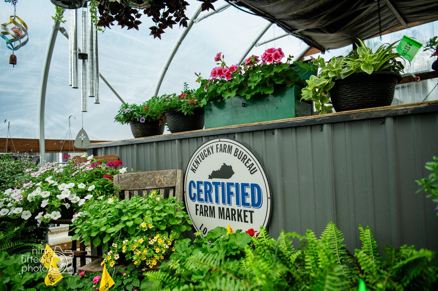 Certified Kentucky farm market sign displayed outside Hardesty Farms & Greenhouses in Brandenburg.