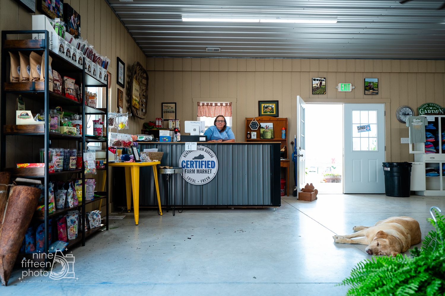 Farm market interior with local products, checkout counter, and shop dog resting inside in Meade County, Kentucky.