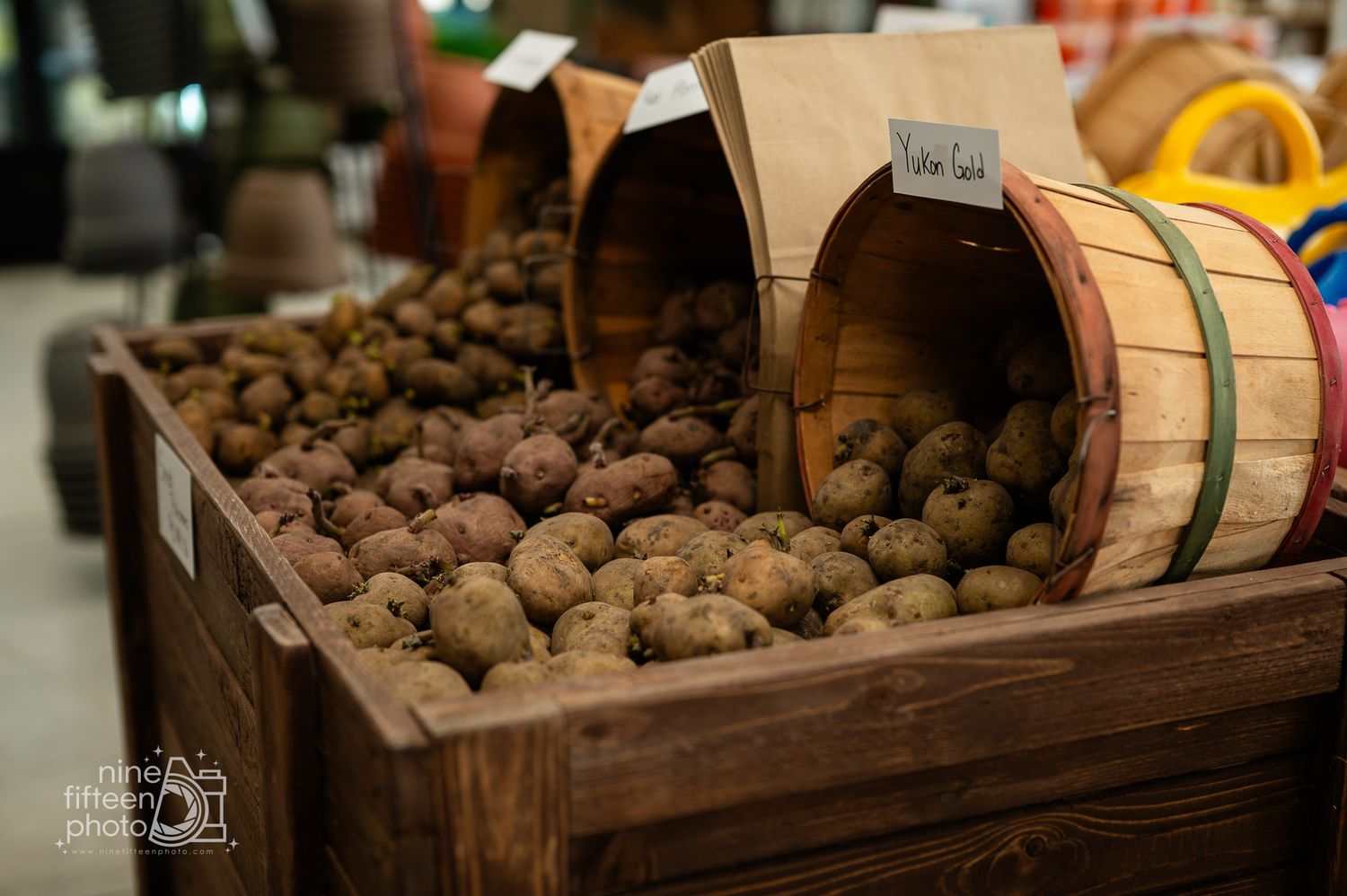 Rustic wooden bins filled with fresh potatoes spilling from bushel baskets inside the farm market.