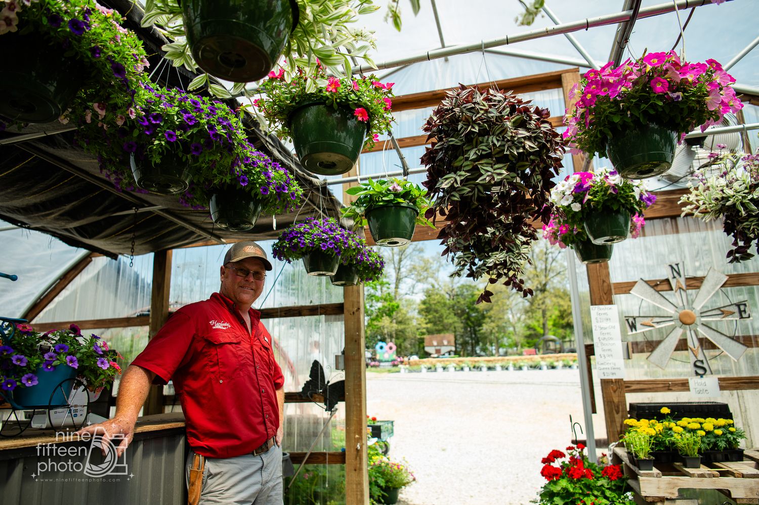 Man in red shirt standing among colorful hanging flower baskets inside a greenhouse at Hardesty Farms in Kentucky.