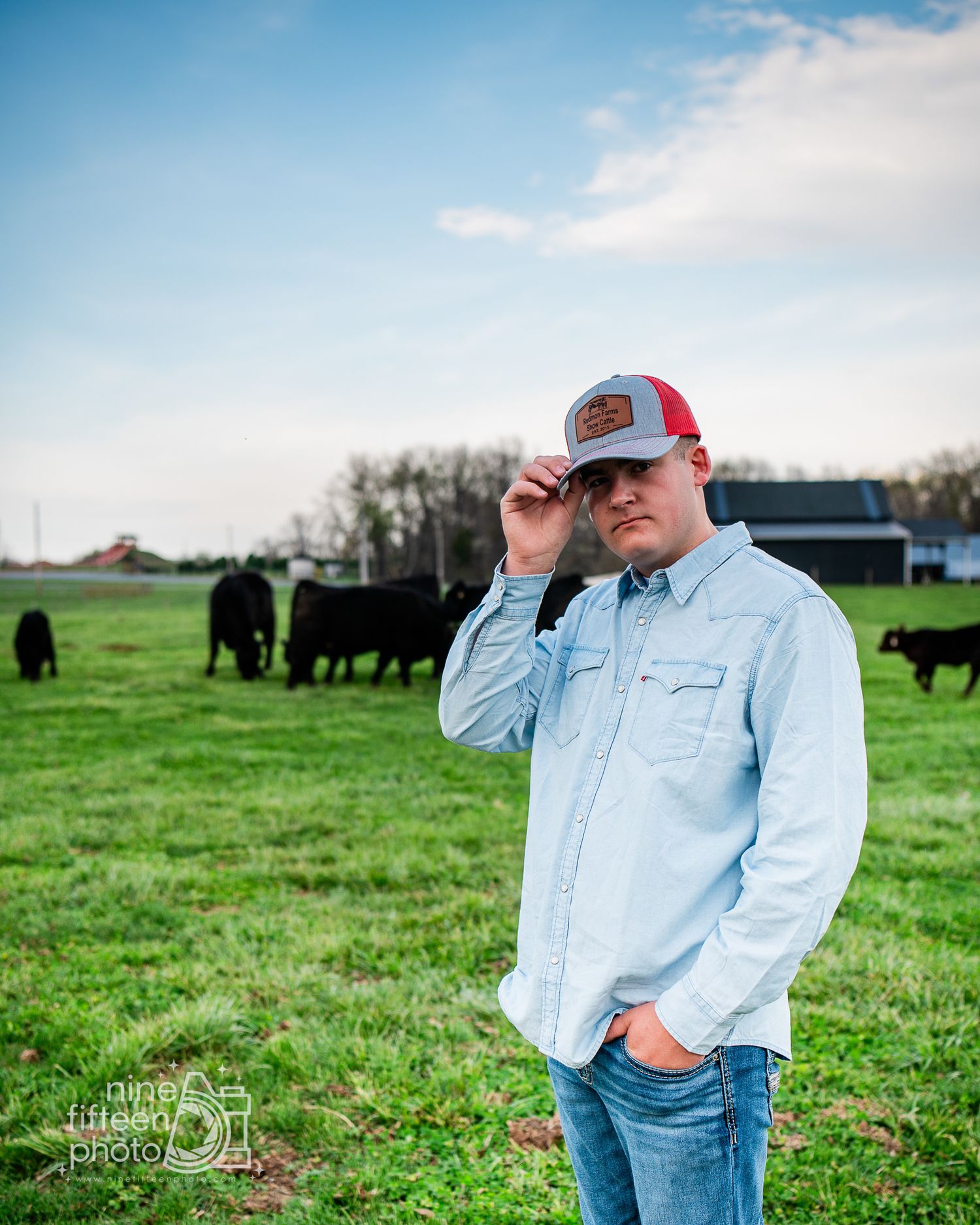 Young man in a light blue shirt and red trucker hat poses in a green farm field with black cattle grazing behind him.