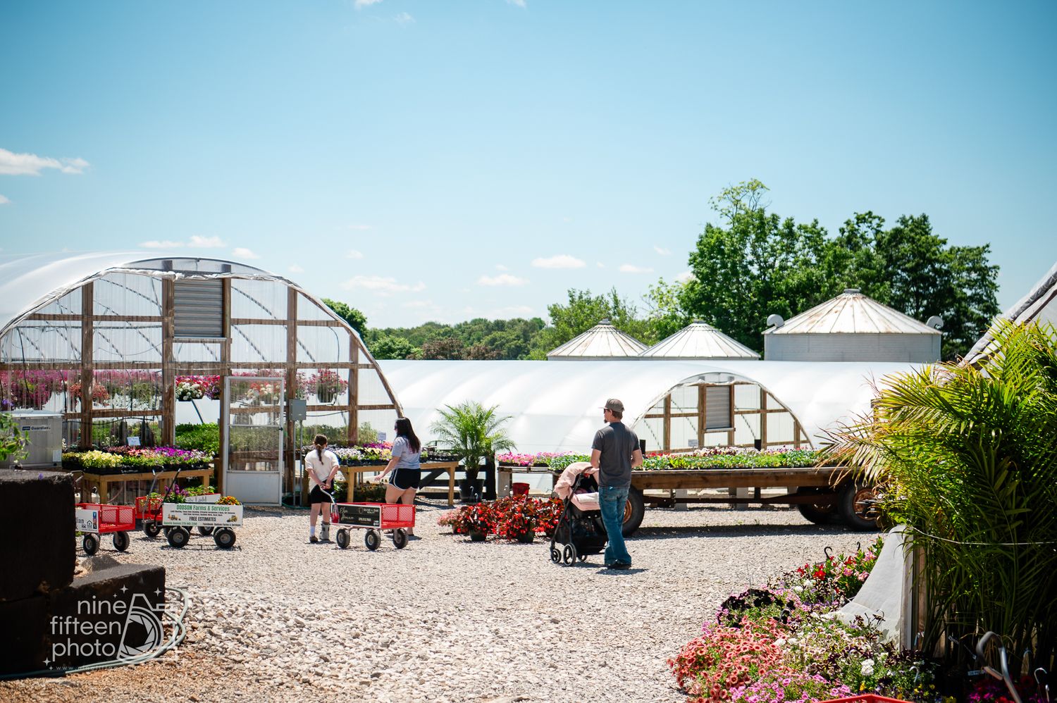 Shoppers browse outdoor plant displays near white greenhouse structures on a bright sunny day.