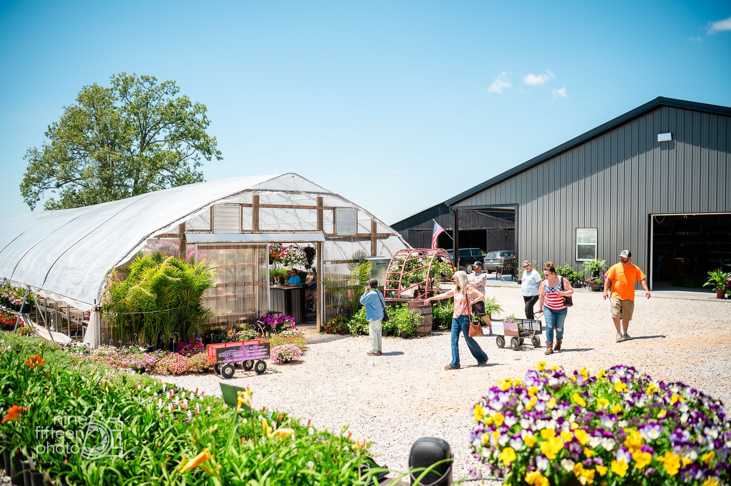 Customers shopping colorful flowers and plants outside the greenhouse at Hardesty Farms & Greenhouses.