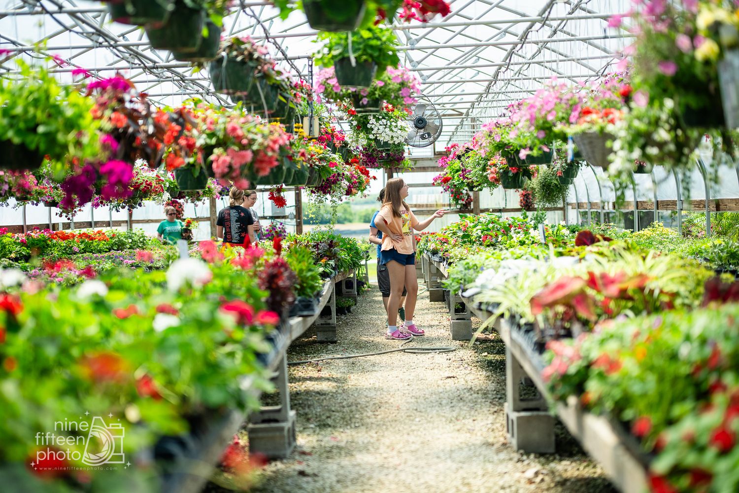 Woman browsing colorful flowers and hanging baskets inside a greenhouse nursery in Meade County, Kentucky.