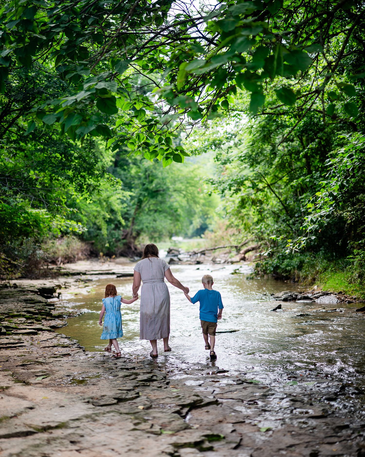 A mother holds hands with two young children while wading through a shallow rocky stream surrounded by lush green trees.