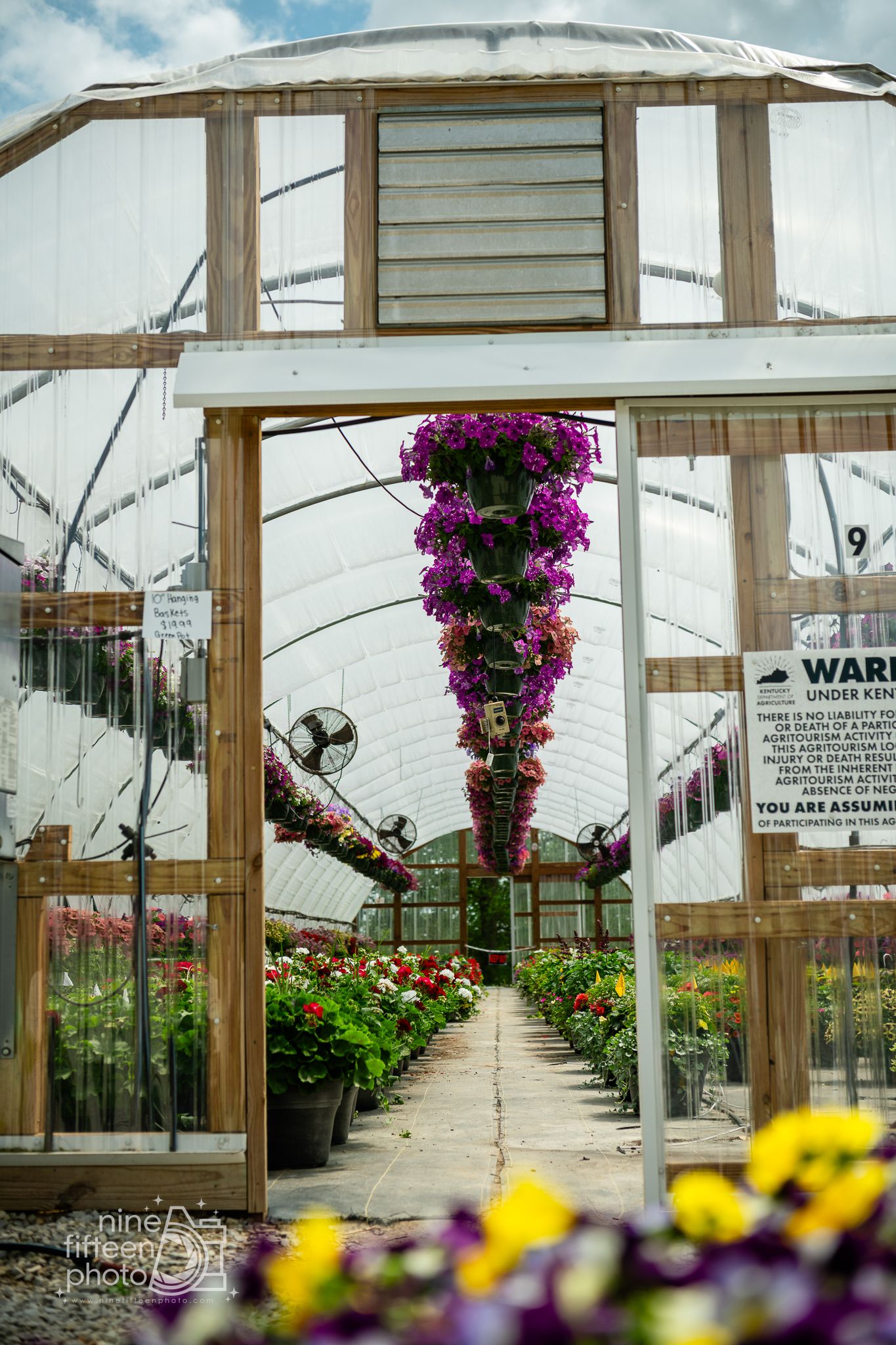 Hanging flower baskets line the greenhouse entrance at Hardesty Farms & Greenhouses in KY.