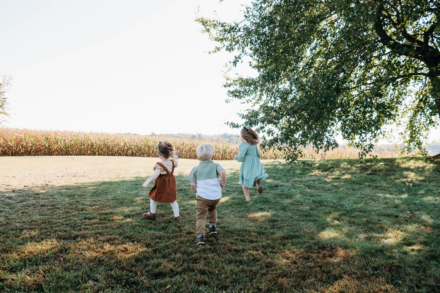 Group of young children walking hand in hand through farm field during golden sunset in Brandenburg Kentucky.