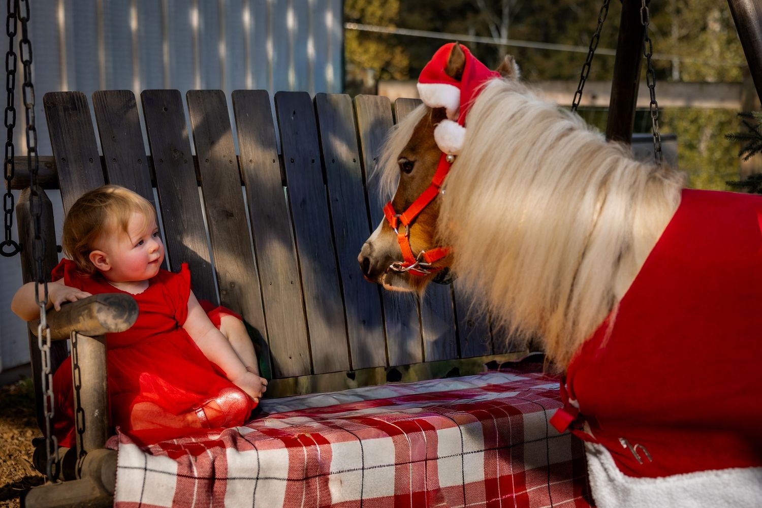 Toddler in red dress sits on plaid swing bench facing a miniature horse wearing a Santa hat outdoors.