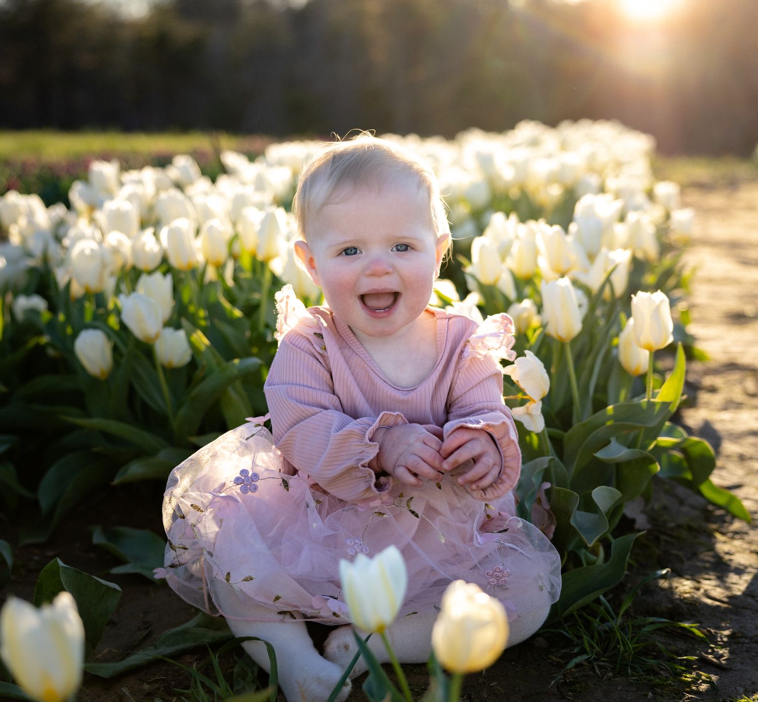 Happy baby in pink dress sits laughing among white tulips in golden sunset light.