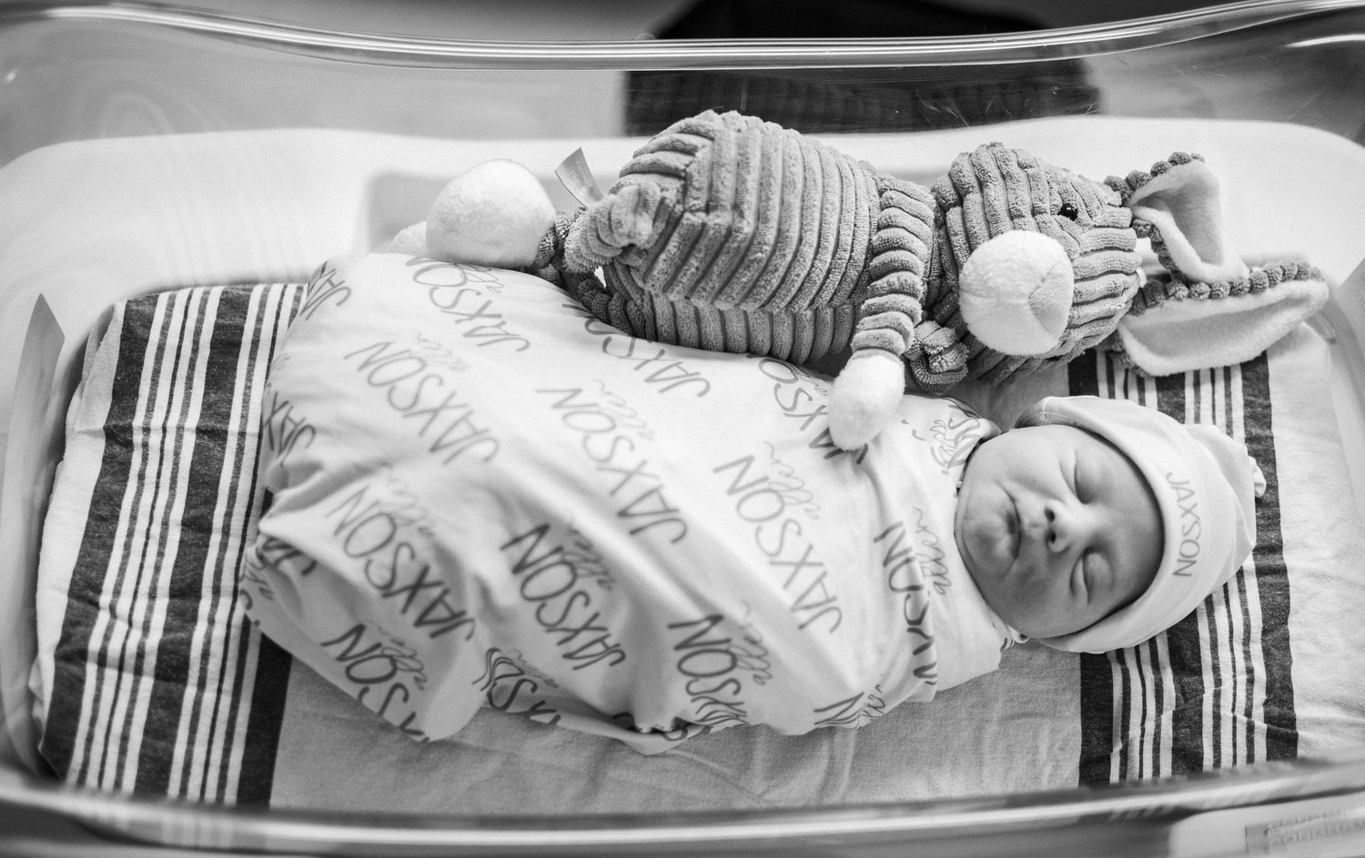 Newborn baby swaddled in striped blanket lying next to stuffed bunny toy in hospital bassinet, black and white photo.