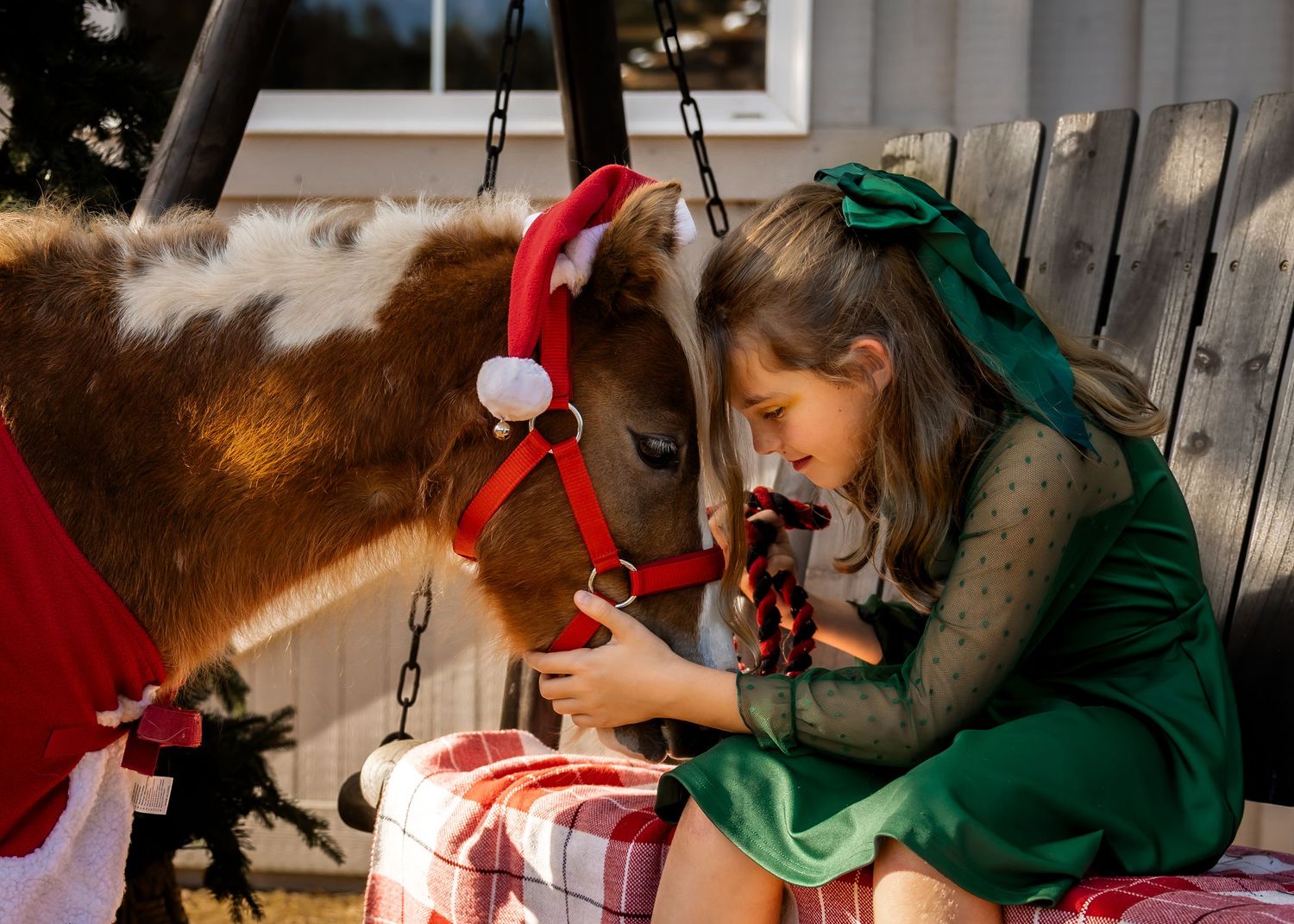 Girl in green elf dress feeds a mini horse wearing a Santa hat on a plaid bench during Christmas.