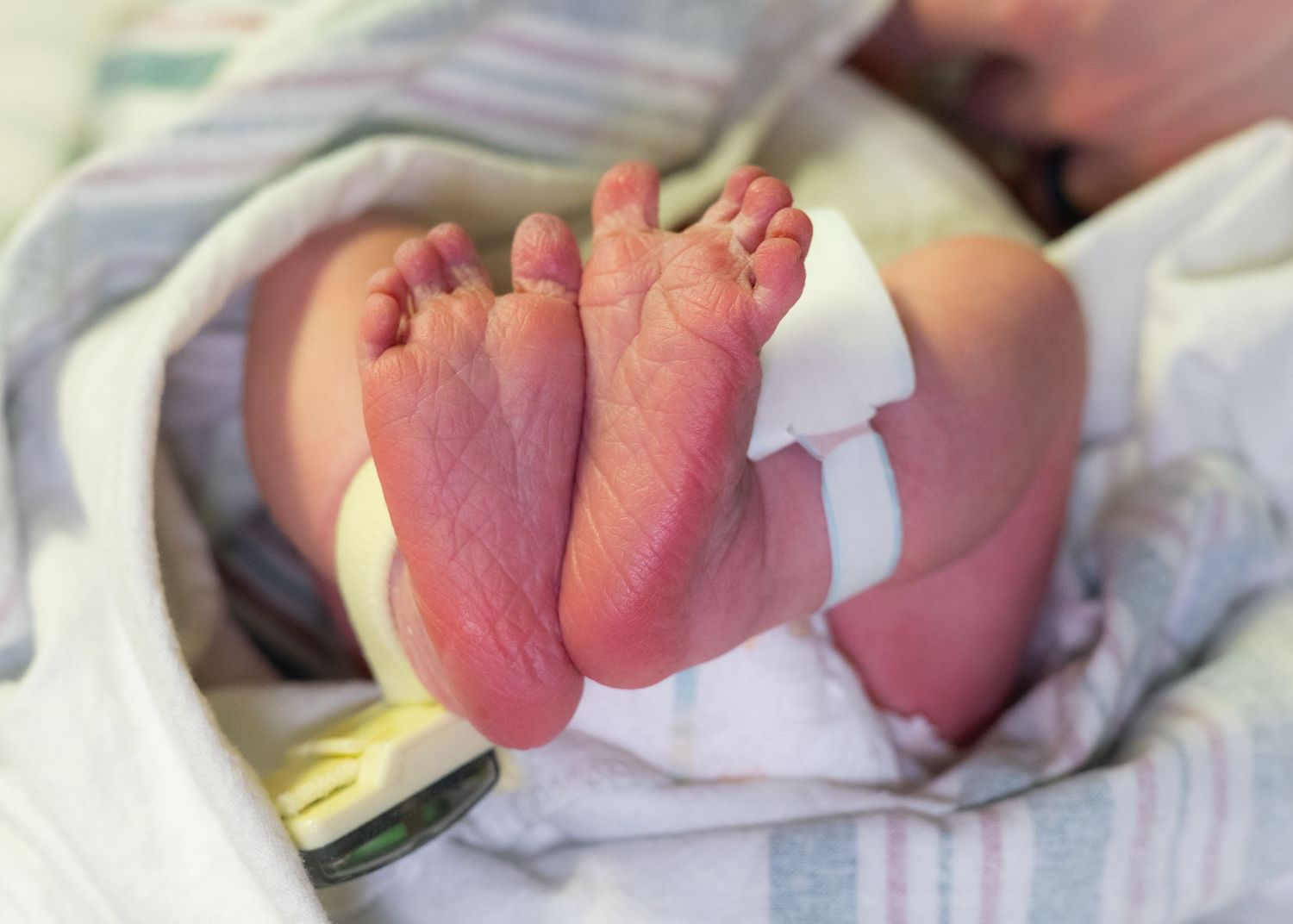 Close-up of tiny newborn baby feet wrapped in a soft white hospital blanket.