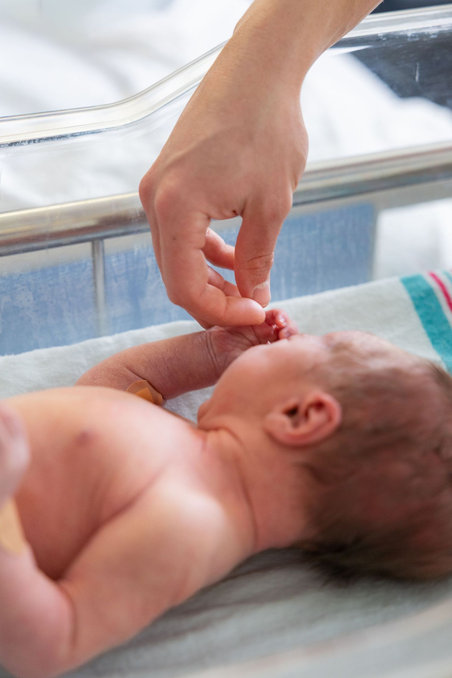 A newborn baby lying in a hospital bassinet while a nurse gently examines the infant's ear.