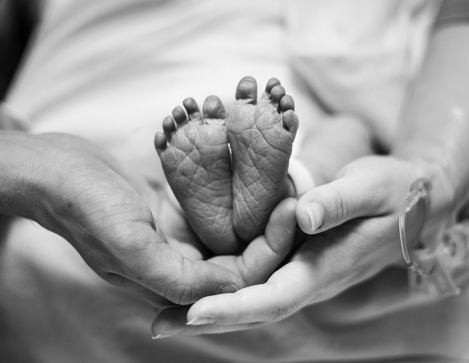 Black and white close-up of tiny newborn baby feet cradled in parents hands.