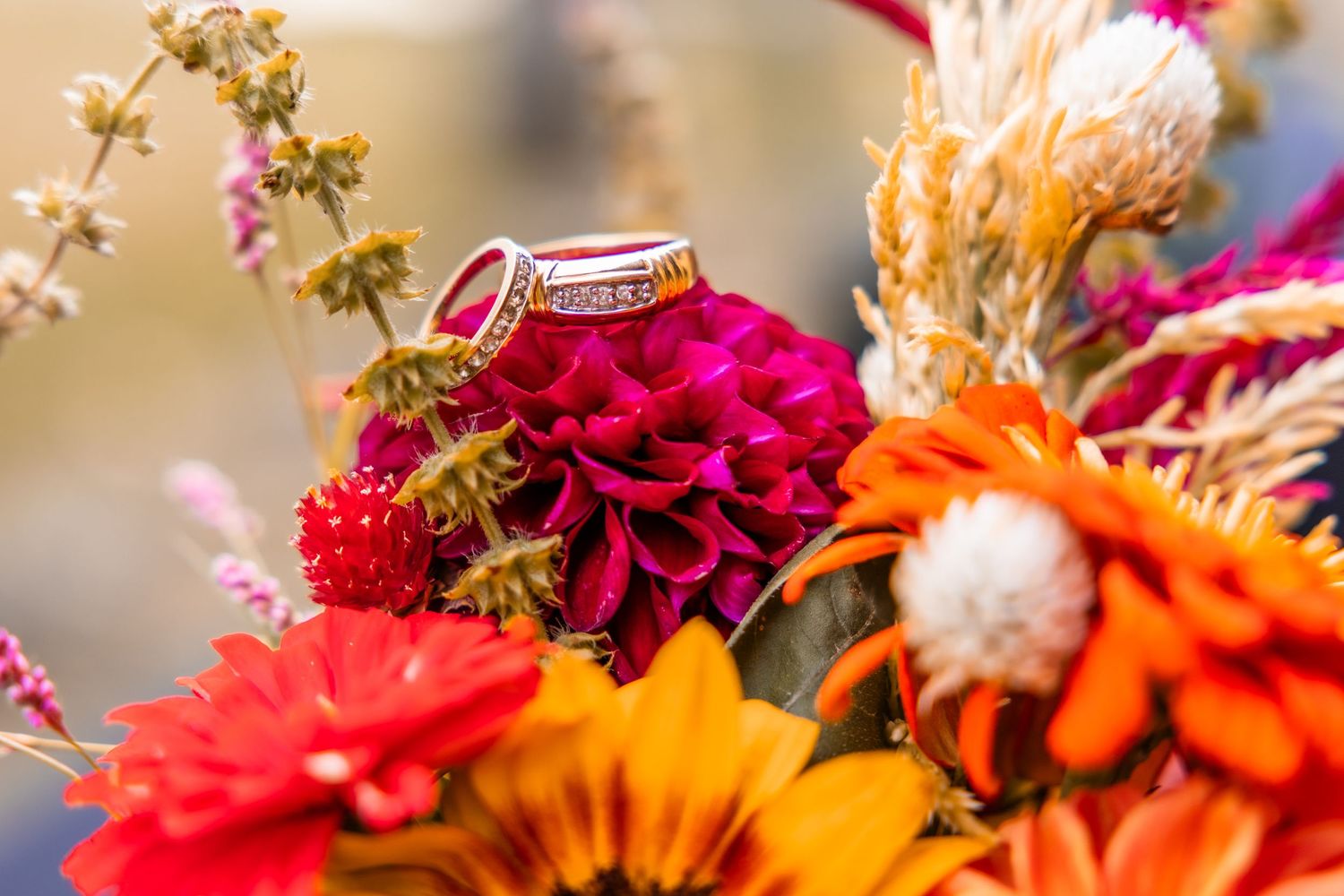 Gold wedding rings with red gemstone resting on vibrant orange and pink dahlia bouquet.