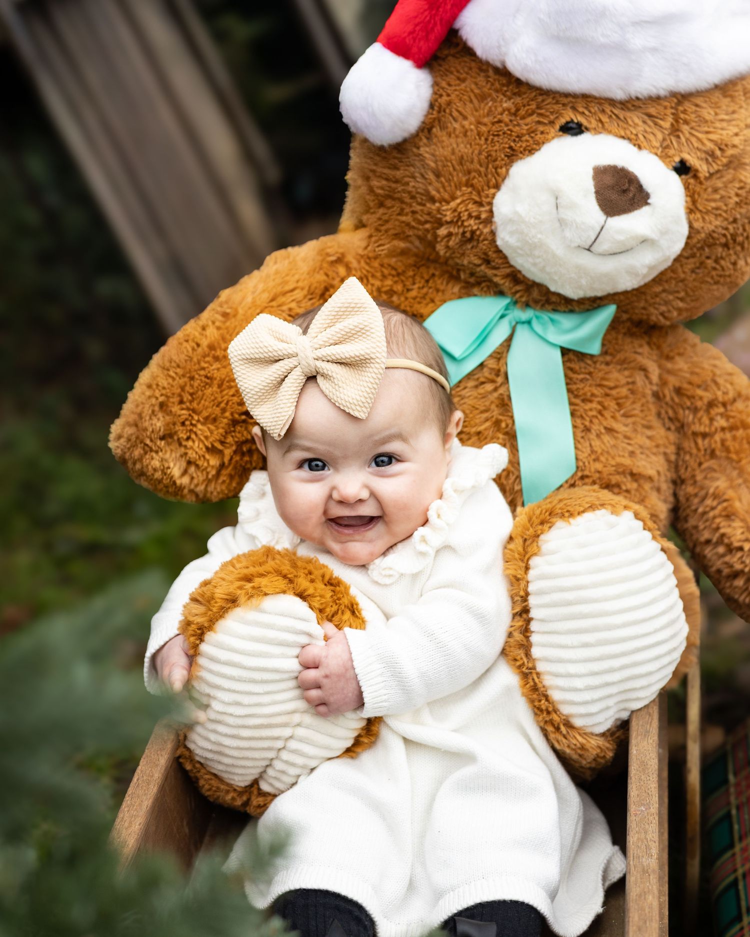 A happy baby in a white outfit sits in front of a large Christmas teddy bear wearing a Santa hat.