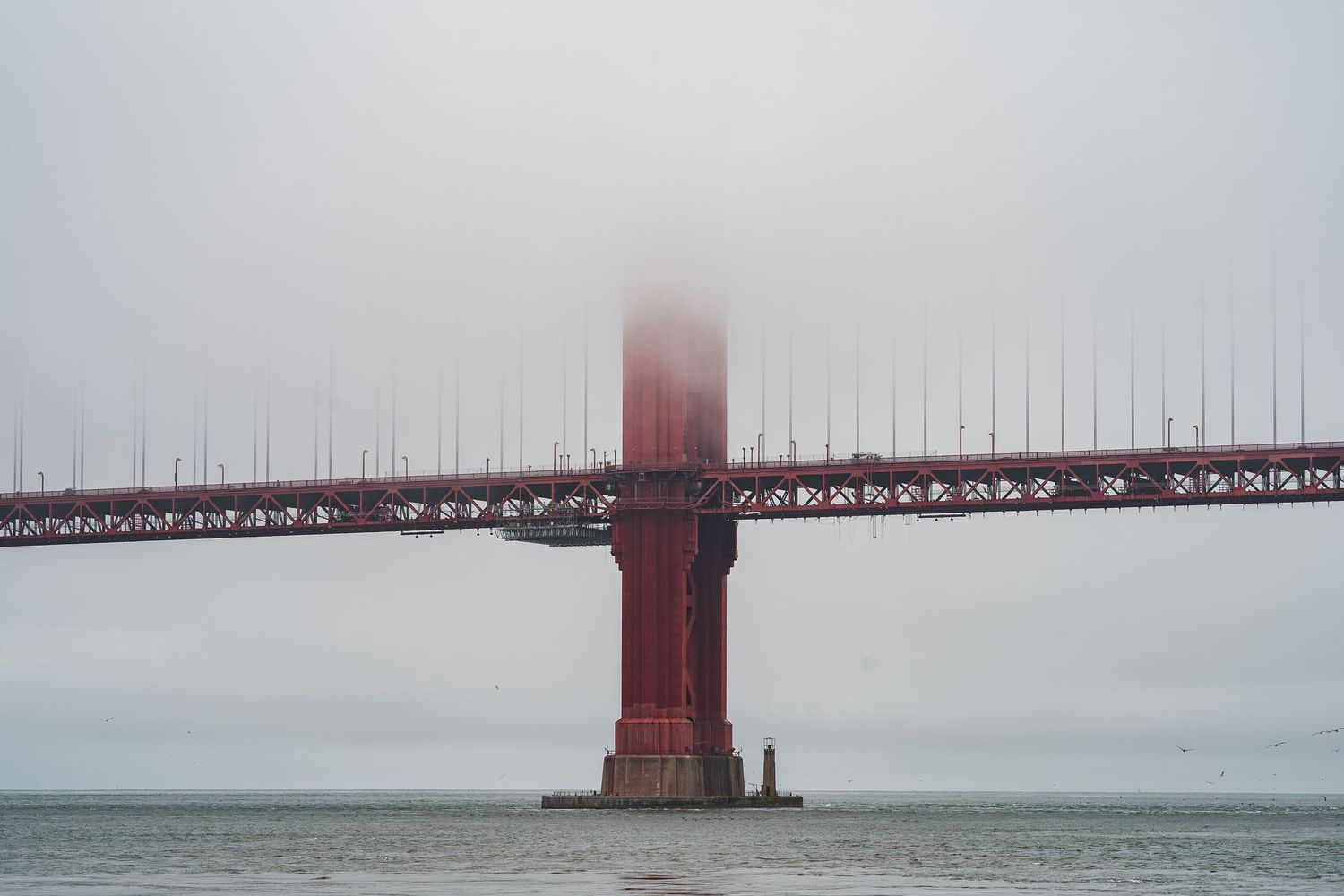Fotografía viaje San Francisco paisaje puente golden gate