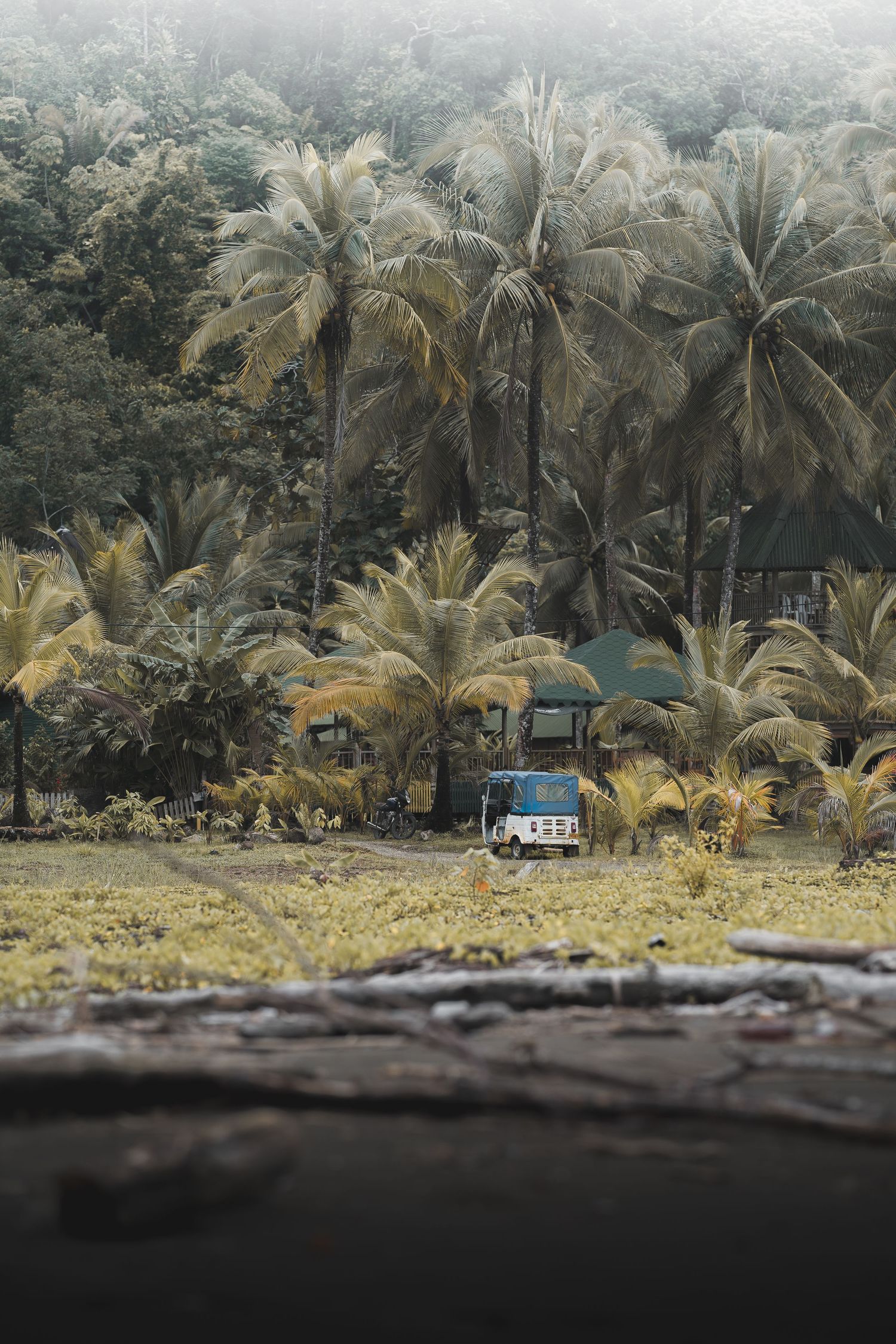 Fotografía viaje colombia verde paisaje