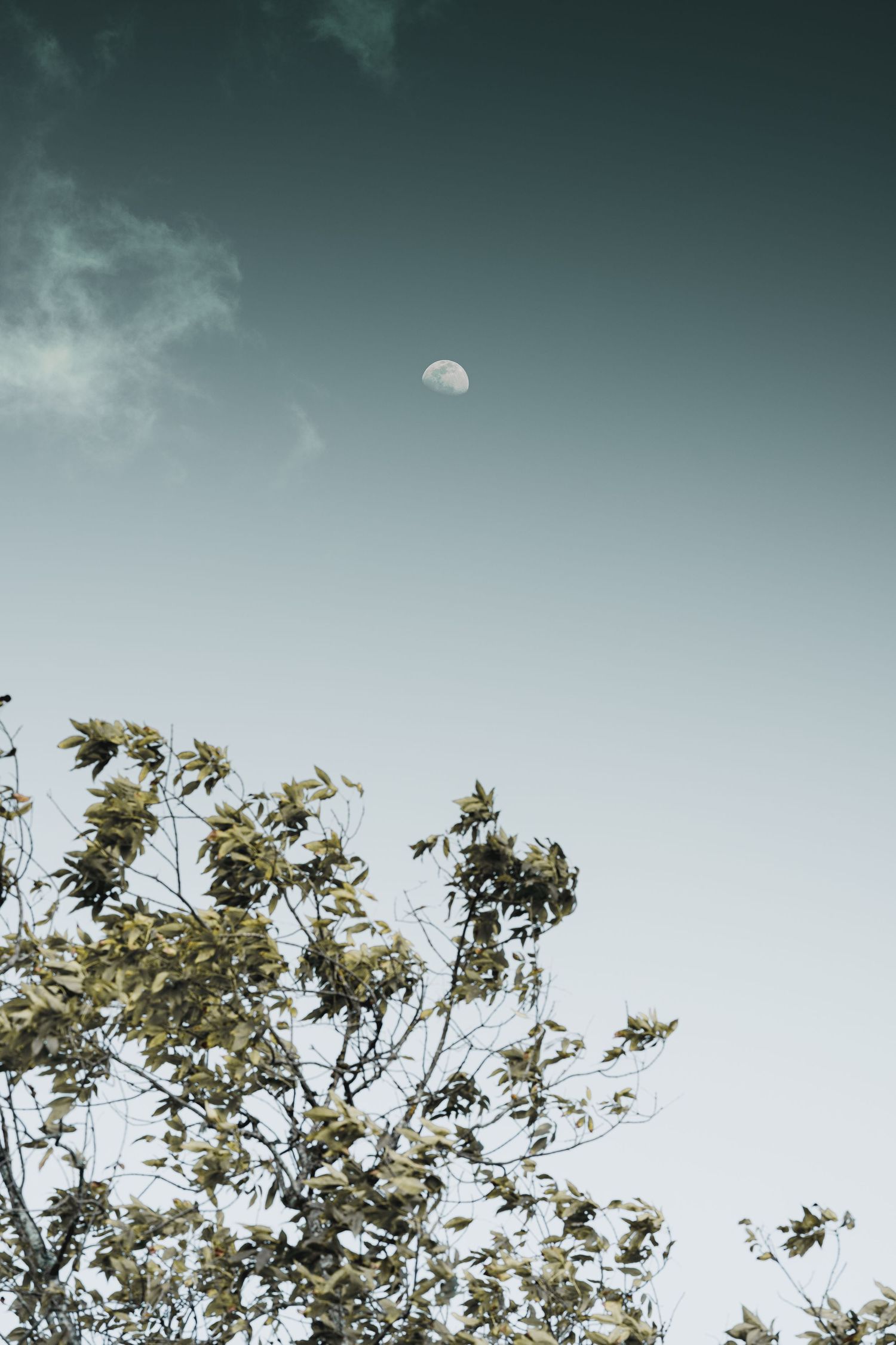 Fotografía luna cielo viaje