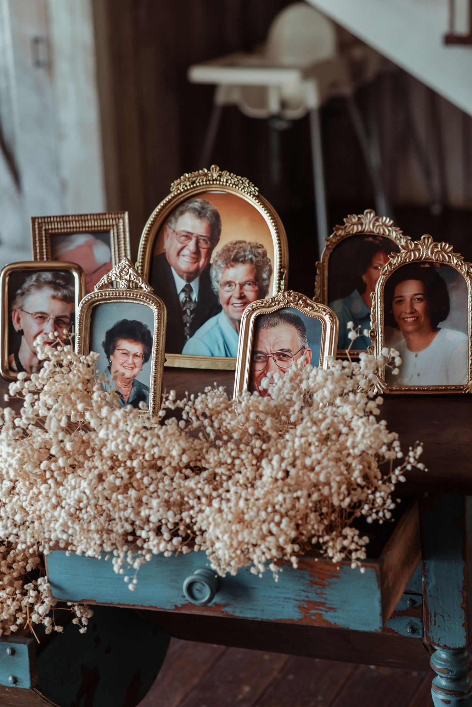 Vintage gold frames with family photos arranged in an antique blue drawer with dried baby's breath flowers.