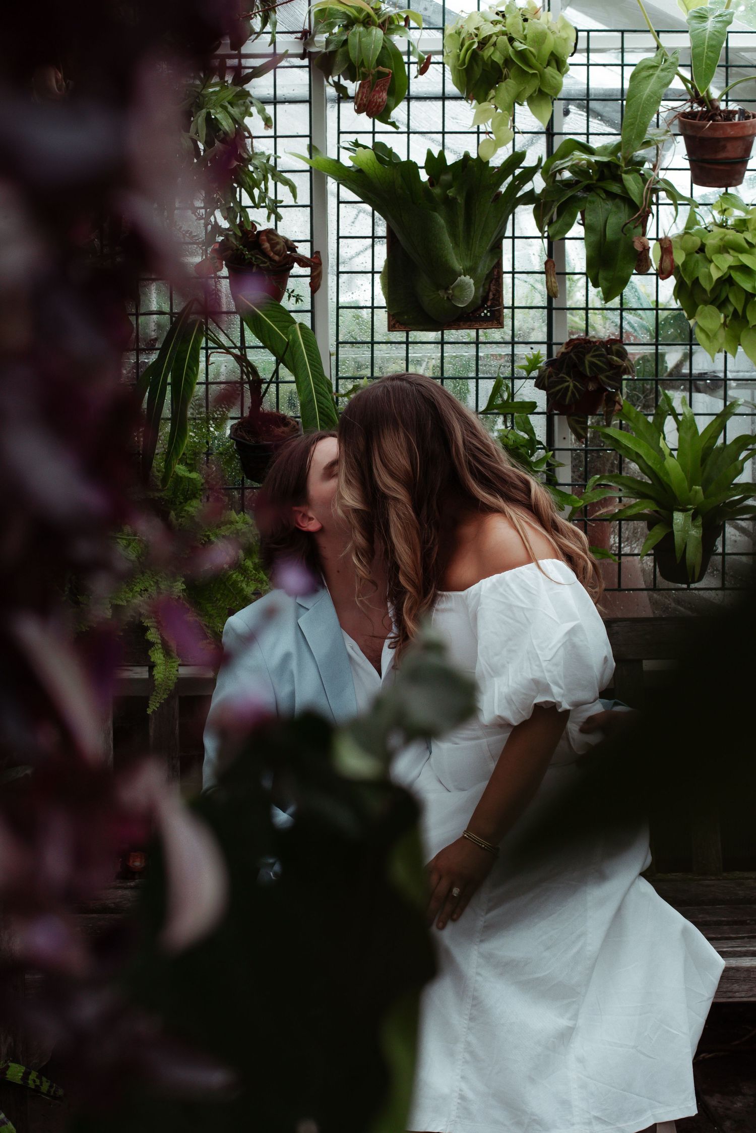 Couple sharing a romantic kiss surrounded by lush green hanging plants in a greenhouse setting.