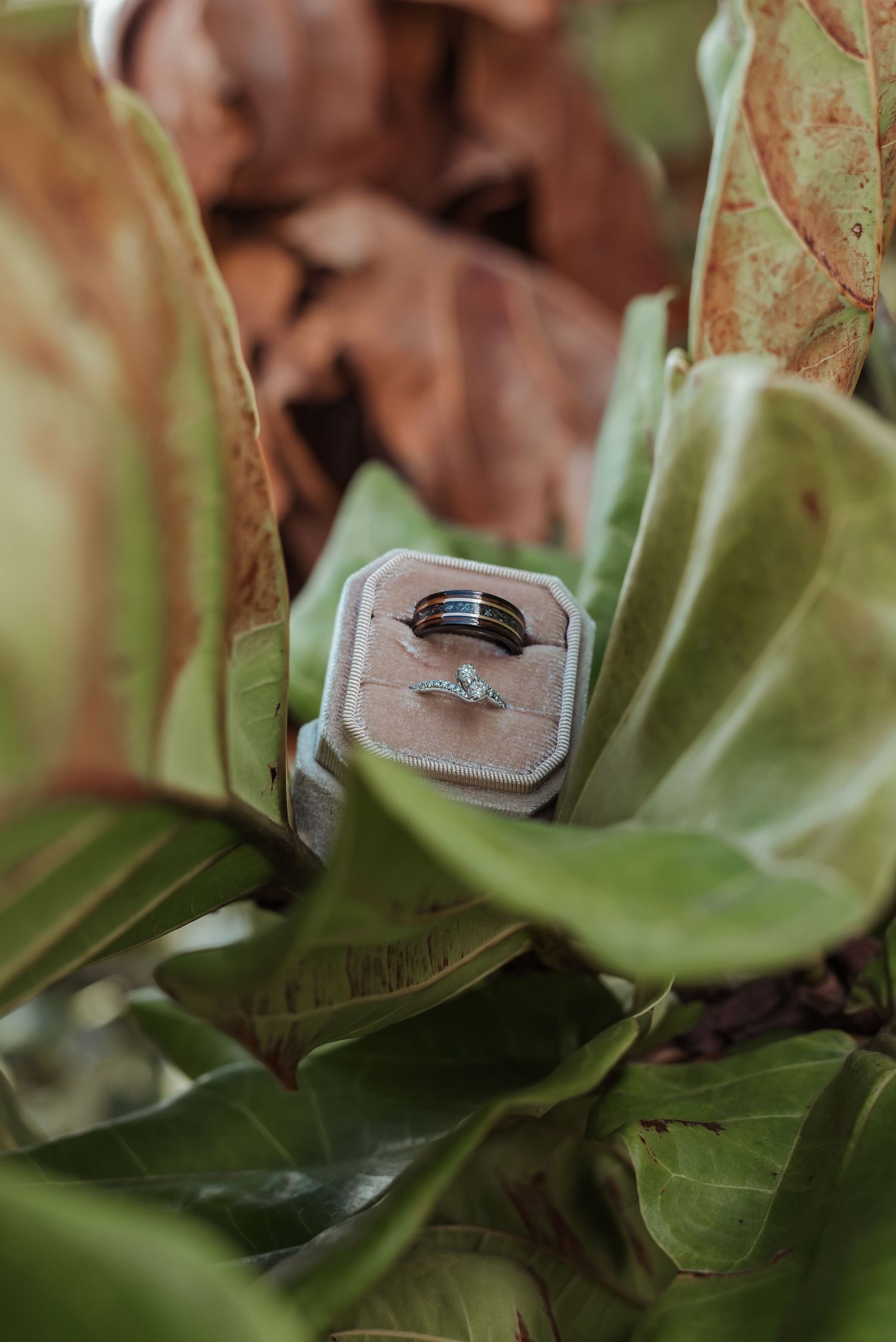 His and hers wedding rings displayed in a velvet ring box nestled among tropical green leaves.