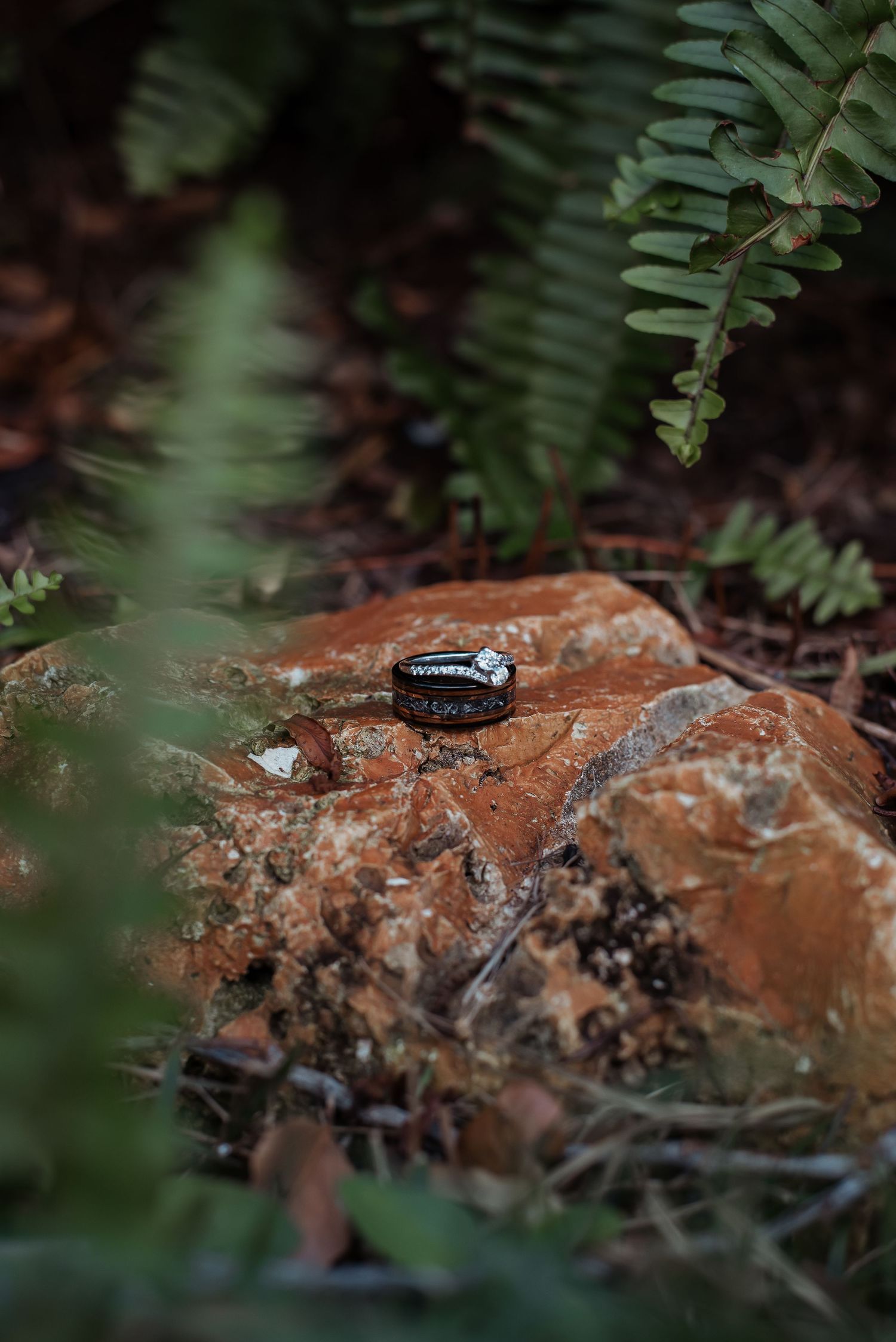 Wedding rings displayed on rustic orange rock surrounded by lush green ferns in nature setting.