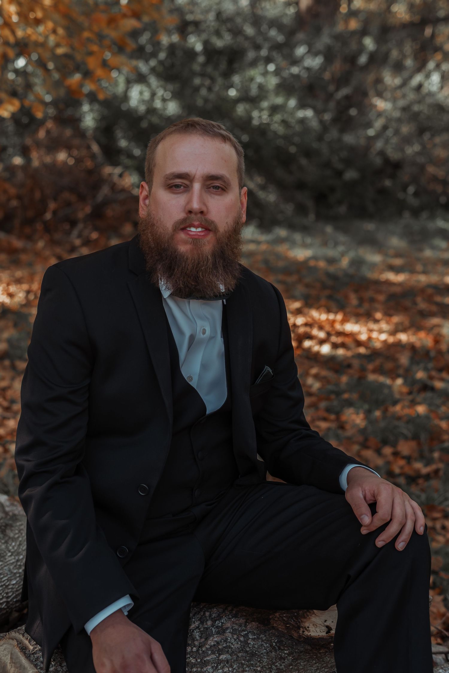 Bearded groom in a black three-piece suit sits on a log surrounded by fall foliage outdoors.