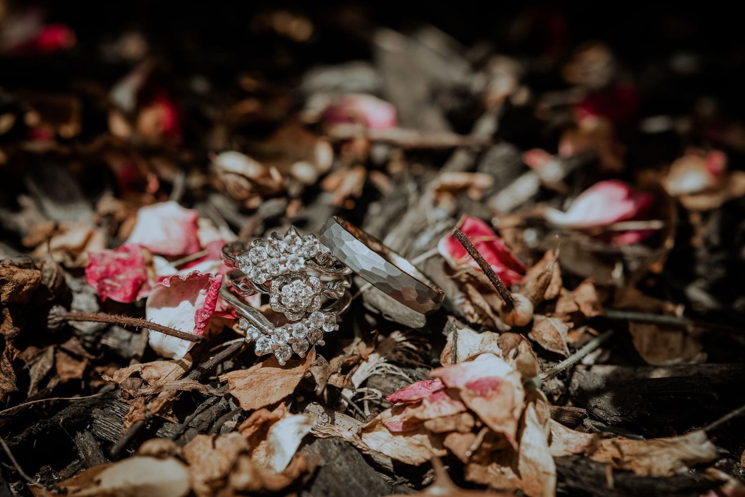 Diamond engagement ring and wedding band resting among dried rose petals on dark ground.