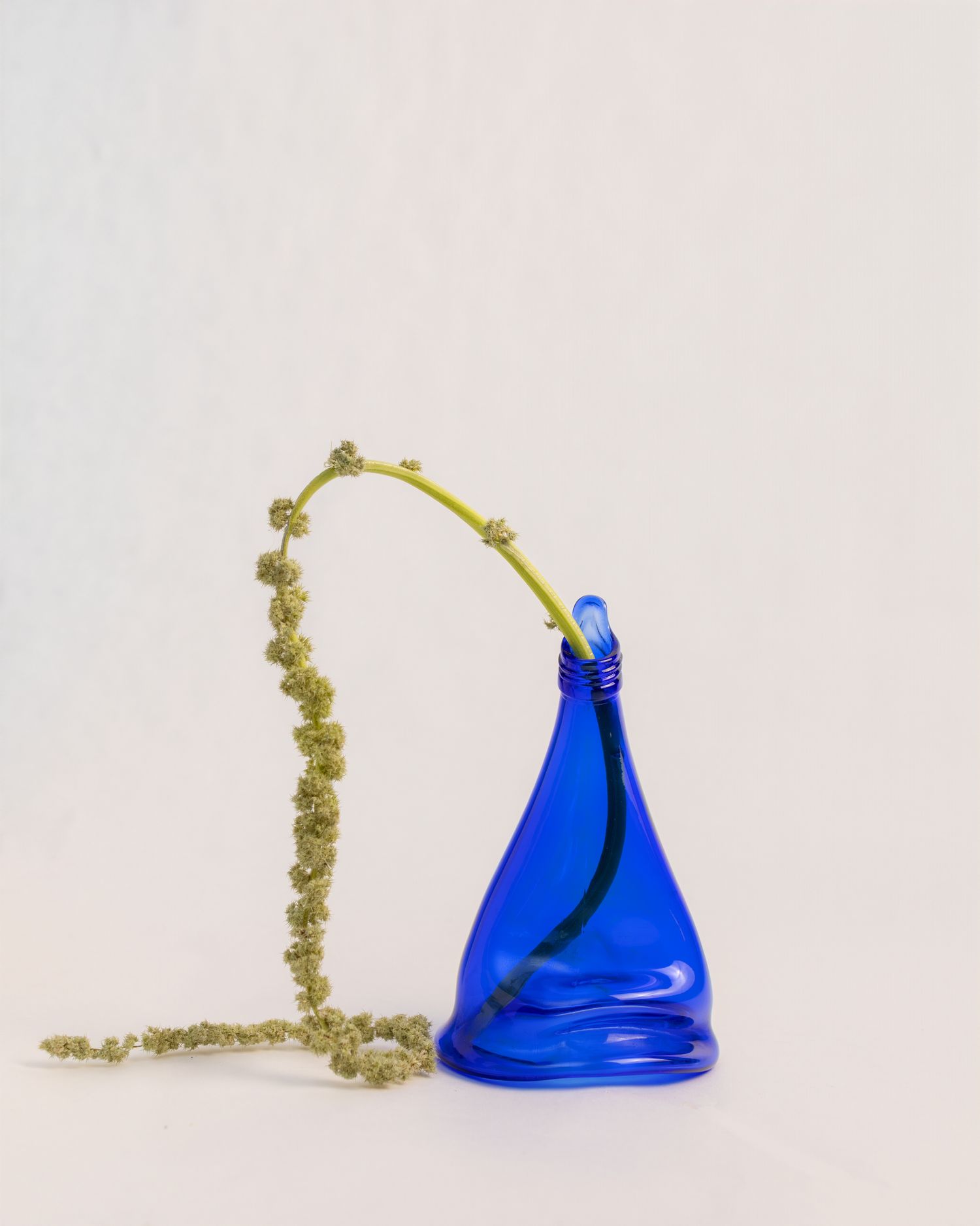 Blue handblown glass teardrop vase with a dried green botanical stem arching gracefully, displayed on a white background.