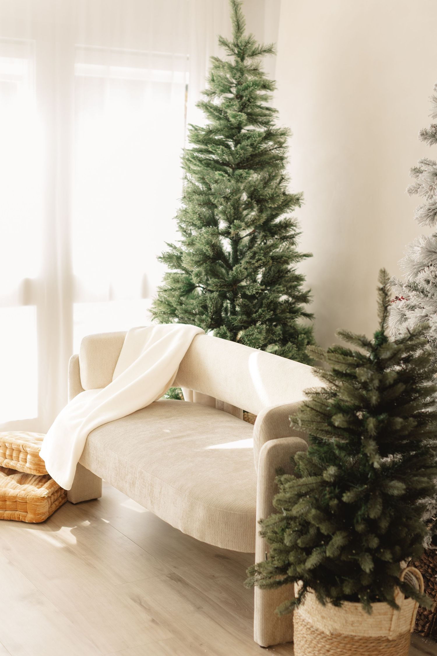 Minimalist Christmas living room with cream sofa, white blanket, and two green Christmas trees near bright window.