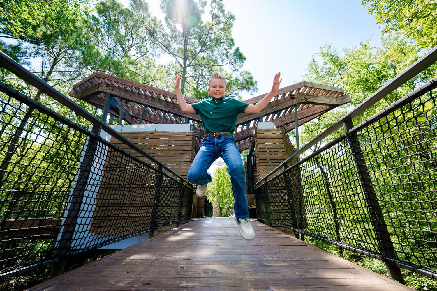 Elevated wooden boardwalk winding through lush green forest canopy.