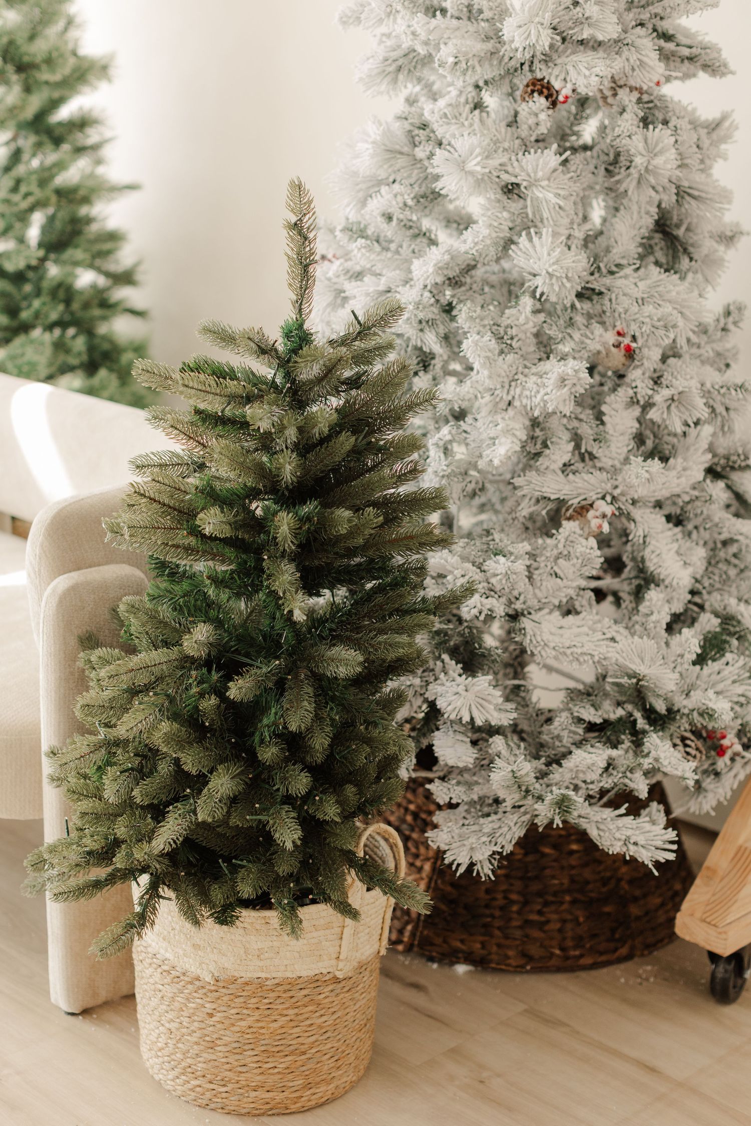 Two artificial Christmas trees, one green and one snow-flocked, displayed in wicker baskets in a bright white room.