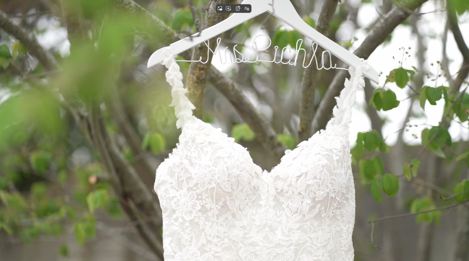 Detailed lace wedding dress detail against natural foliage background.